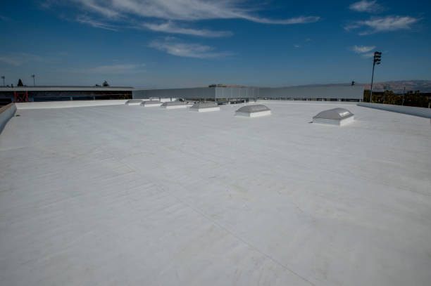 Best Roof Insulation Installation  in Morrisville, VT